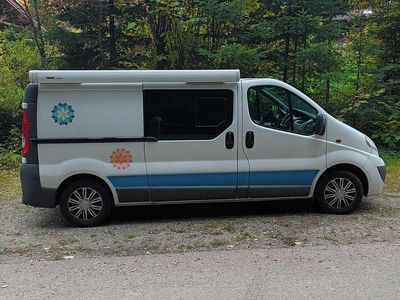 Weiß Gebraucht 2014 Opel Vivaro Van / Kleinbus | 13.400 € (Teuer)
