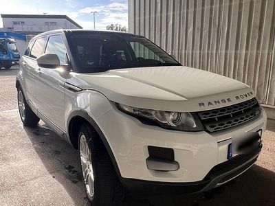Gebraucht Land Rover Range Rover evoque Pure 150 PS (110 kW) 2014 Weiß SUV