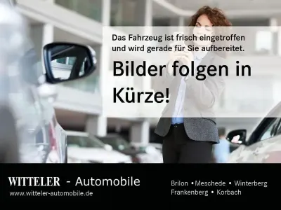 Gebraucht Ford Fiesta ST 200 PS (147 kW) 2019 Blau Kleinwagen