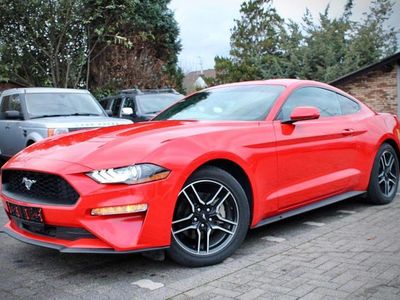 Gebraucht Ford Mustang 290 PS (213 kW) 2019 Rot