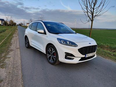 Używany Ford Kuga ST-Line 190 KM (139 kW) 2021 SUV