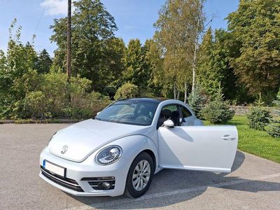 VW Beetle