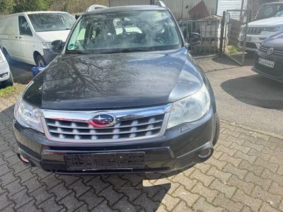 gebraucht Subaru Forester 