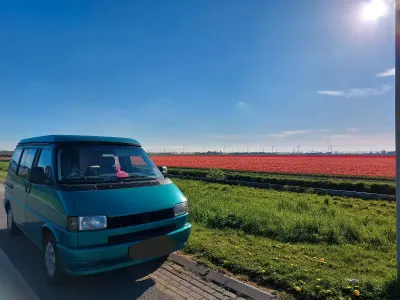 Gebraucht VW California California 77 PS (56 kW) 1995 Grün Van