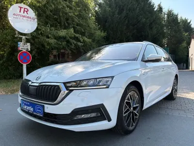 Gebraucht Skoda Octavia Clever 116 PS (85 kW) 2021 Bila moon/moon white Kombi