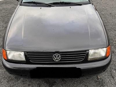 VW Polo