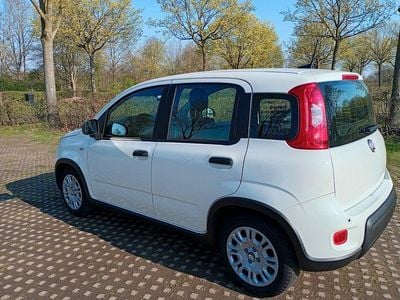 Second-hand Fiat Panda 69 CP (50 kW) 2024 Alb Hatchback