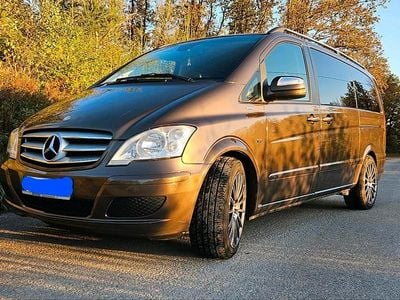 Mercedes Viano