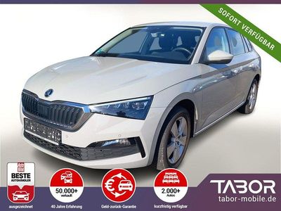 Gebraucht Skoda 110 R Style 110 PS (80 kW) 2021 Grau Limousine