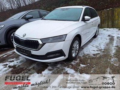 Gebraucht Skoda Octavia Ambition 116 PS (85 kW) 2022 Candyweiss Kombi