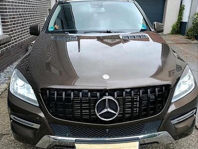 Mercedes ML250