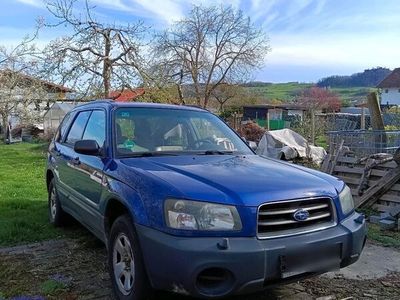 gebraucht Subaru Forester SG