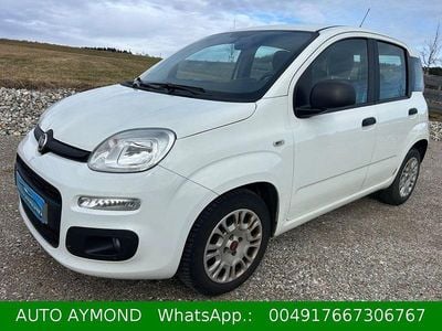 Gebraucht Fiat Panda Easy 69 PS (50 kW) 2019 Weiß Kleinwagen