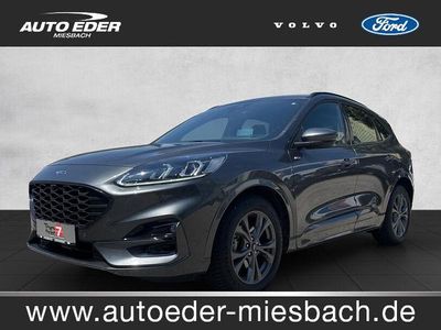 Gebraucht Ford Kuga ST-Line 120 PS (88 kW) 2023 Magneticgrau (grau) SUV