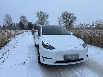 Weiß Gebraucht 2023 Tesla Model Y Long Range AWD SUV | 41.000 € (Teuer)