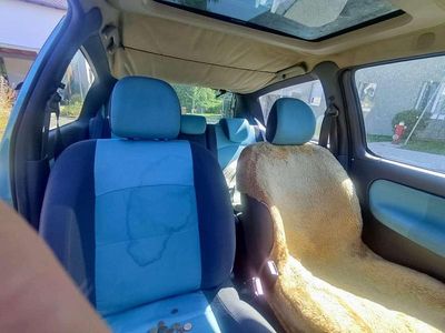 Blau Gebraucht 2002 Renault Clio II Privilege Limousine | 2.400 €