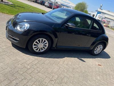 VW Beetle