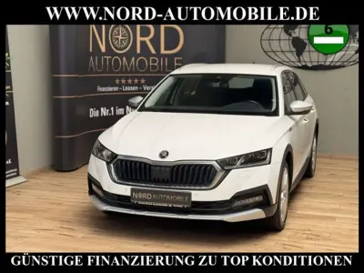 Gebraucht Skoda Octavia Scout 150 PS (110 kW) 2023 Candyweiss Kombi