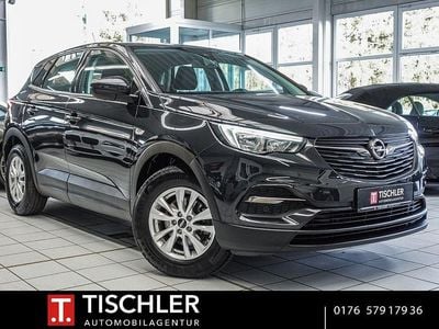 Gebraucht Opel Grandland X Selection 131 PS (96 kW) 2020 Blau SUV