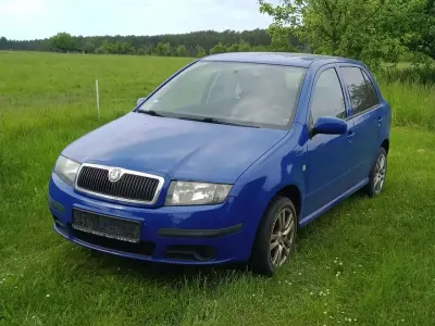 Brugt Skoda Fabia