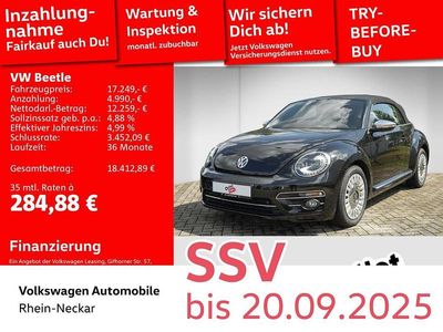 VW Beetle