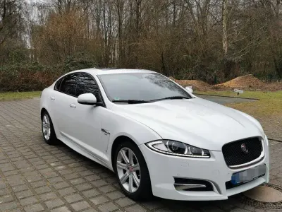 Gebraucht Jaguar XF 241 PS (177 kW) 2014 Weiß Limousine