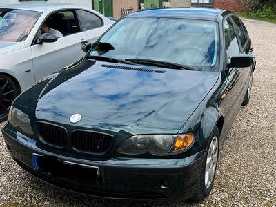 Grün Gebraucht 2002 BMW 316 Limousine | 3.499 € (Teuer)