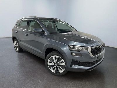 Neu Skoda Karoq Selection 150 PS (110 kW) 2026 Grau SUV