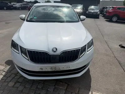Brugt Skoda Octavia