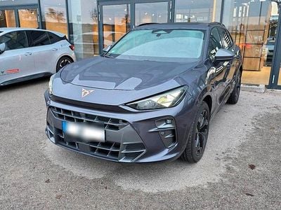 Usata Cupra Terramar 272 CV (200 kW) 2025 Viola SUV