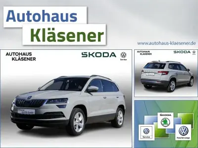 Usata Skoda Karoq Ambition 150 CV (110 kW) 2020 Grigio SUV