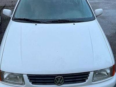 VW Polo