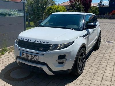 Brugt Land Rover Range Rover evoque Dynamic 190 HK (139 kW) 2013 Hvid SUV