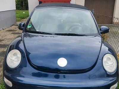 VW Beetle
