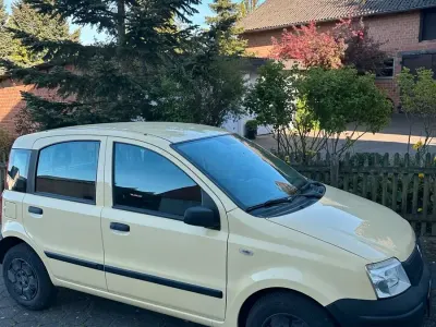 Usata Fiat Panda 54 CV (39 kW) 2009 Giallo Utilitaria