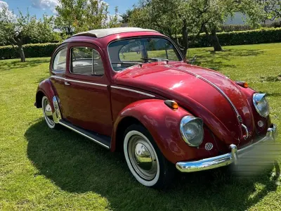 Gebraucht VW Käfer 30 PS (22 kW) 2026 Rot Limousine