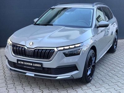 Gebraucht Skoda Kamiq Clever 90 PS (66 kW) 2021 Grau SUV