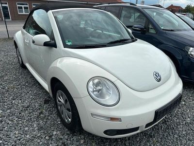VW Beetle
