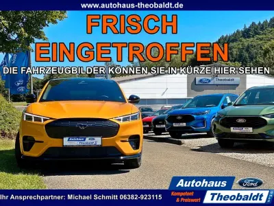 Neu Ford Transit Trend 101 PS (74 kW) 2026 Weiß Van / Kleinbus