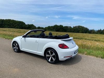 Gebraucht VW Beetle Sound 105 PS (77 kW) 2018 Weiß Kleinwagen