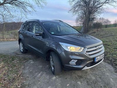 Usata Ford Kuga Cool & Connect 182 CV (133 kW) 2017 Grigio SUV