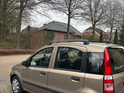 Gebraucht Fiat Panda 60 PS (44 kW) 2010 Gold Kleinwagen