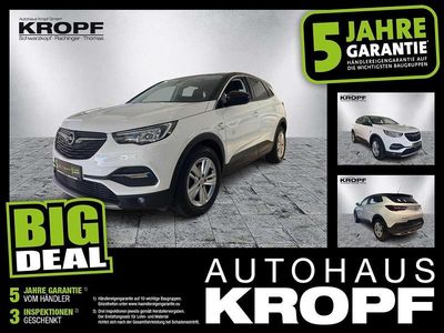 Gebraucht Opel Grandland X 131 PS (96 kW) 2020 Jade weiss/arktis weiss SUV
