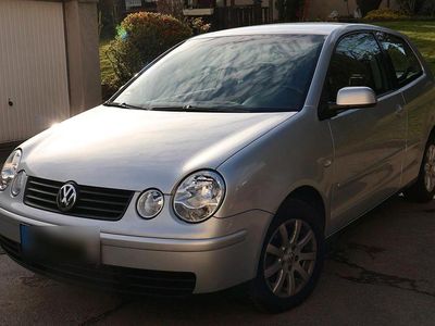 Gebraucht VW Polo Cricket 64 PS (47 kW) 2004 Silber Kleinwagen