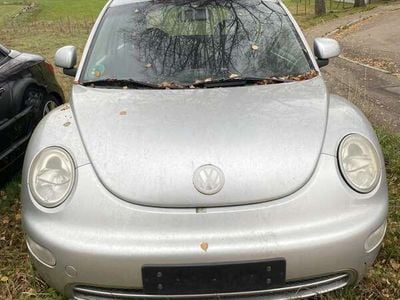 VW Beetle
