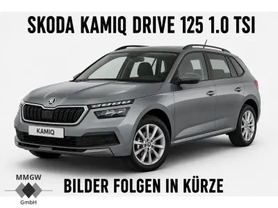 Gebraucht Skoda Kamiq Drive 116 PS (85 kW) 2020 Quarzgrau metallic SUV