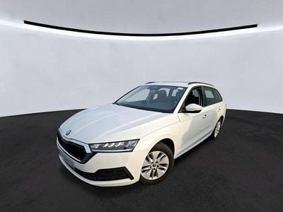 Gebraucht Skoda Octavia Ambition 150 PS (110 kW) 2023 Candyweiss Kombi