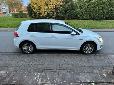 Gebraucht VW Golf VII 85 PS (62 kW) 2014 Weiß Kleinwagen