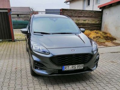 gebraucht Ford Kuga Kuga2.5 Duratec FHEV 4x4 ST-LINE X