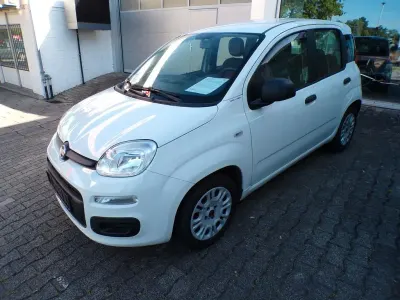 Gebraucht Fiat Panda Pop 69 PS (50 kW) 2014 Weiß Kleinwagen